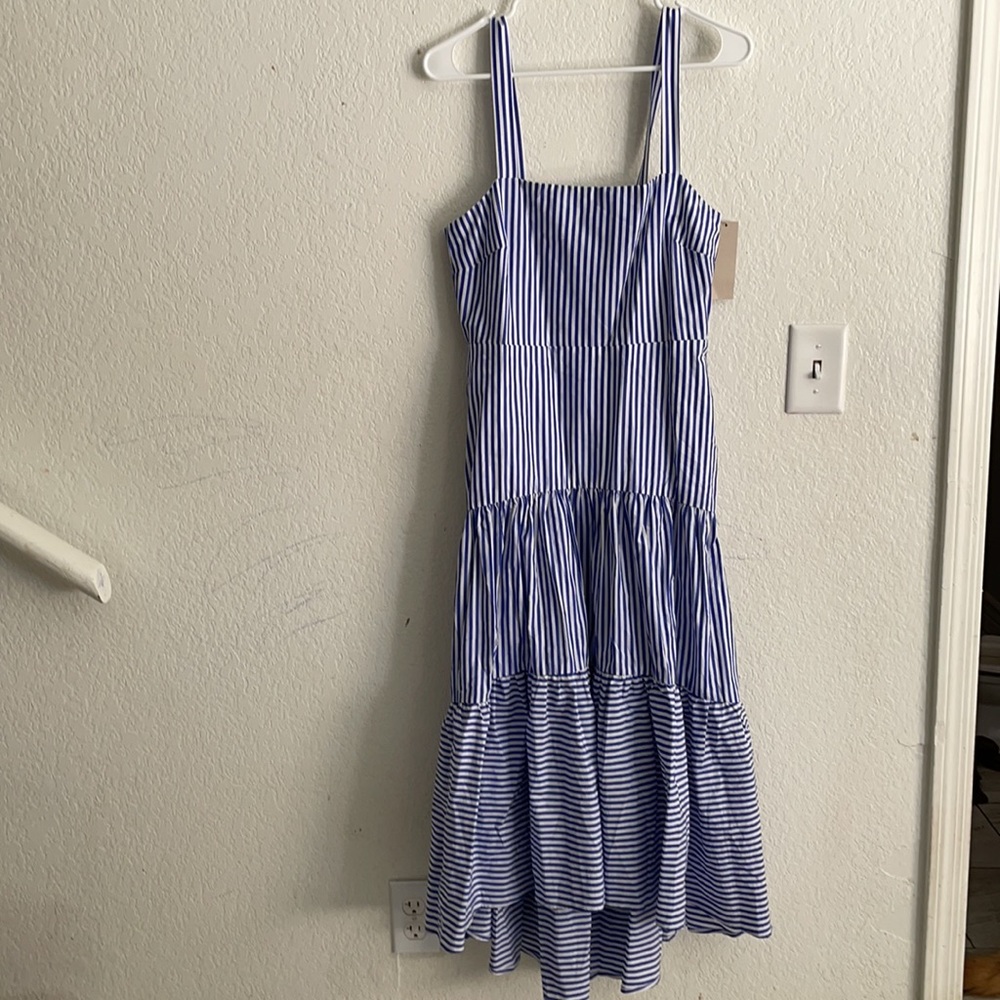 Banana Republic Stripped Dress